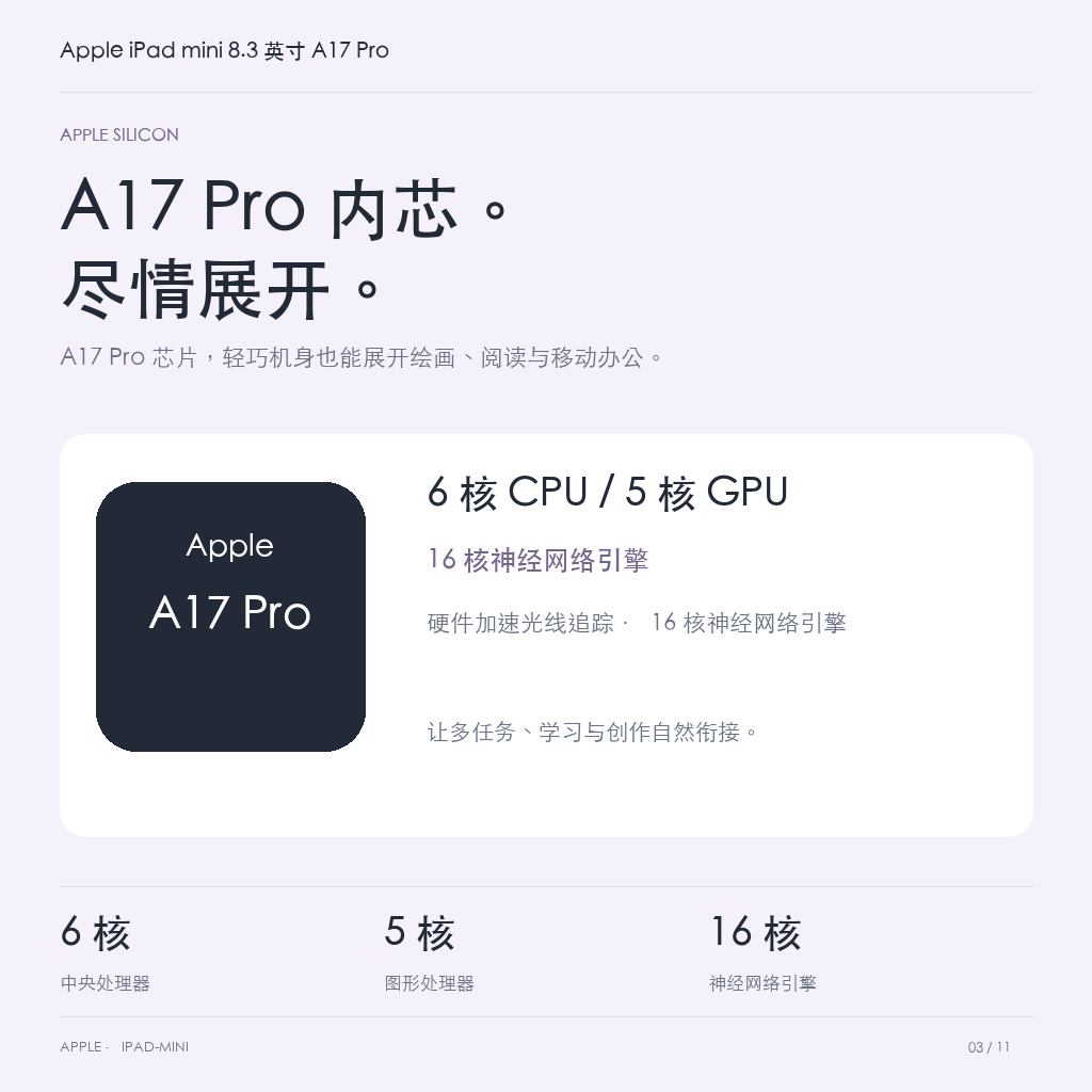 Apple iPad mini 8.3 英寸 A17 Pro · 03-chip