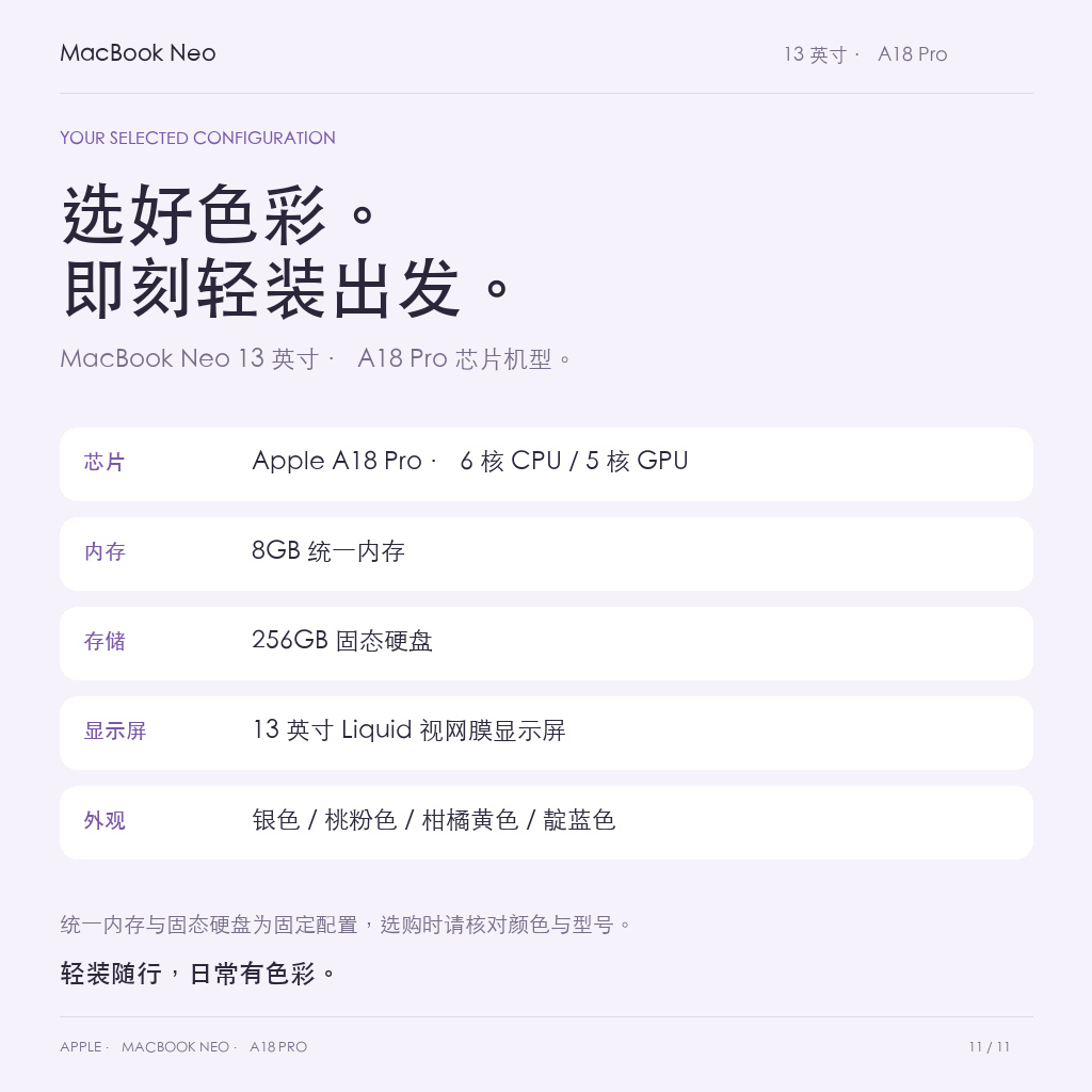A18Pro八GB内存256GB固态硬盘配置